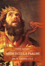 Meditatii la psalmi vol VI