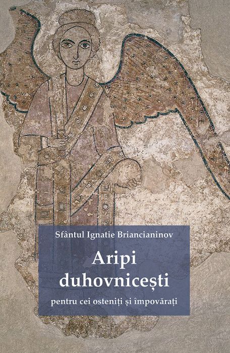 Aripi duhovnicești pentru cei osteniţi şi împovăraţi 