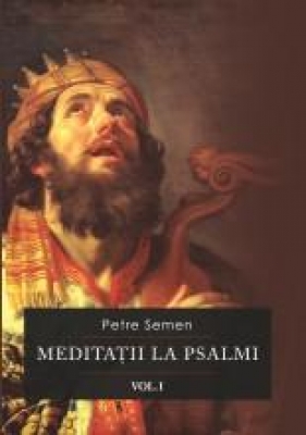 Meditatii la psalmi vol I