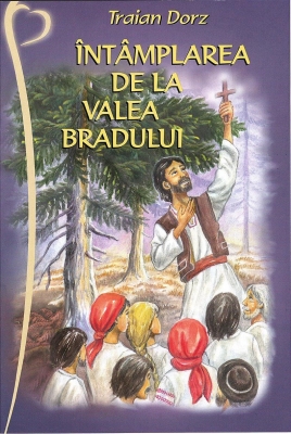 Întâmplarea de la Valea Bradului