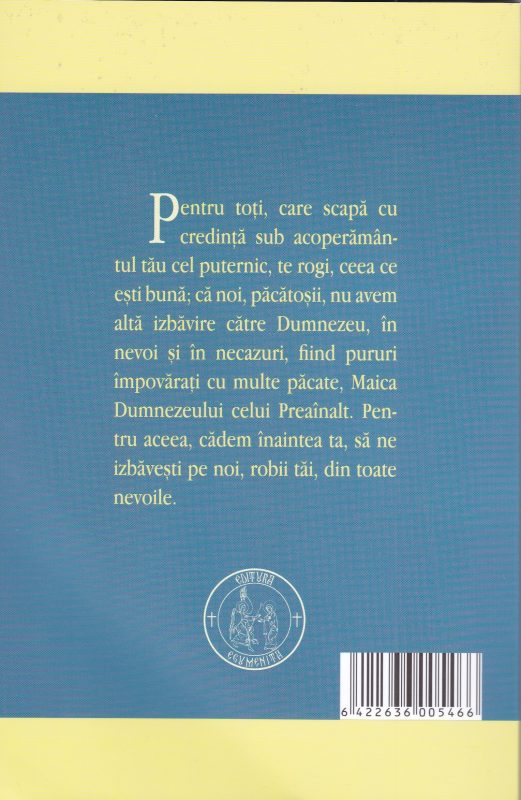 A fost minunea Maicii Domnului 50 de întâmplări adevărate