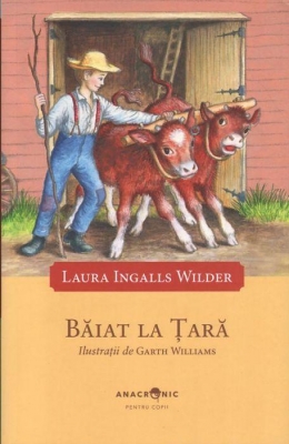 Băiat la țară 