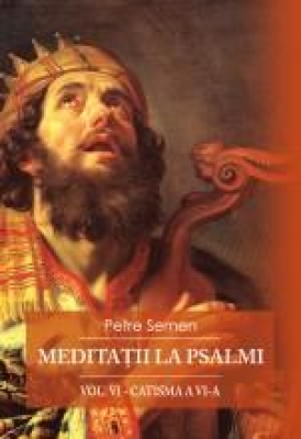 Meditatii la psalmi vol VI