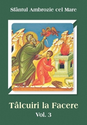 Tâlcuiri la facere vol 3